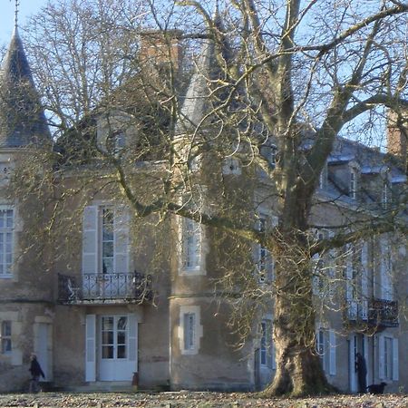 Chateau D'Island Vezelay Pontaubert Eksteriør bilde