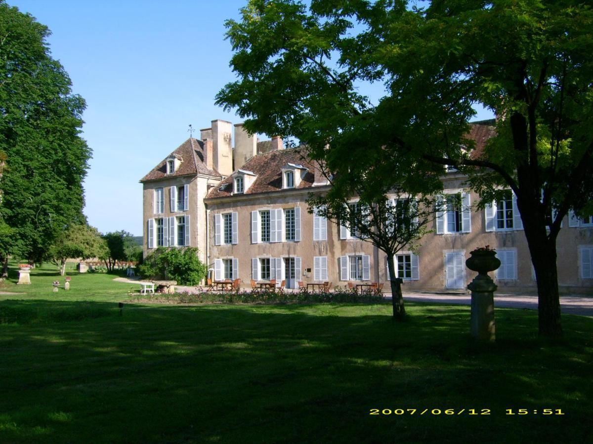 Chateau D'Island Vezelay Pontaubert Eksteriør bilde