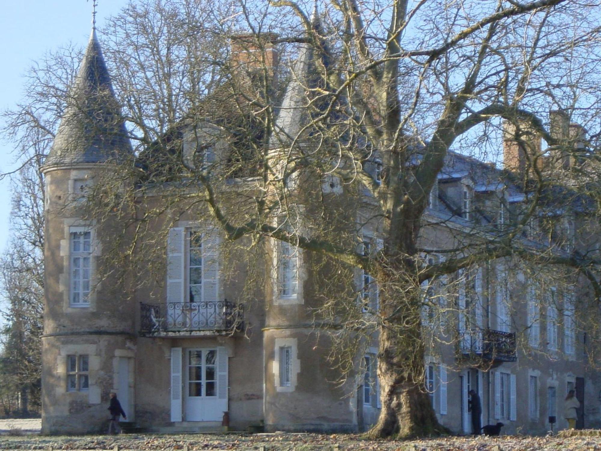 Chateau D'Island Vezelay Pontaubert Eksteriør bilde