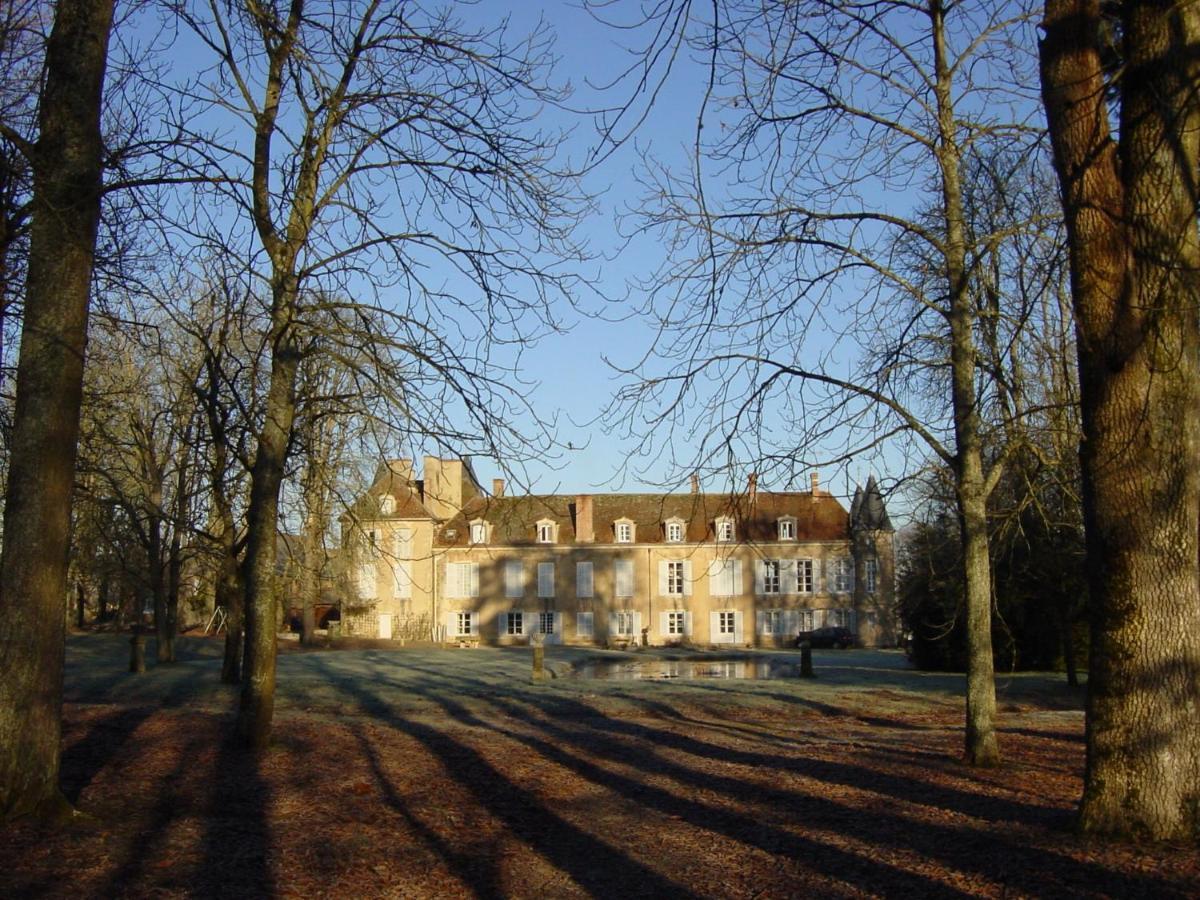 Chateau D'Island Vezelay Pontaubert Eksteriør bilde