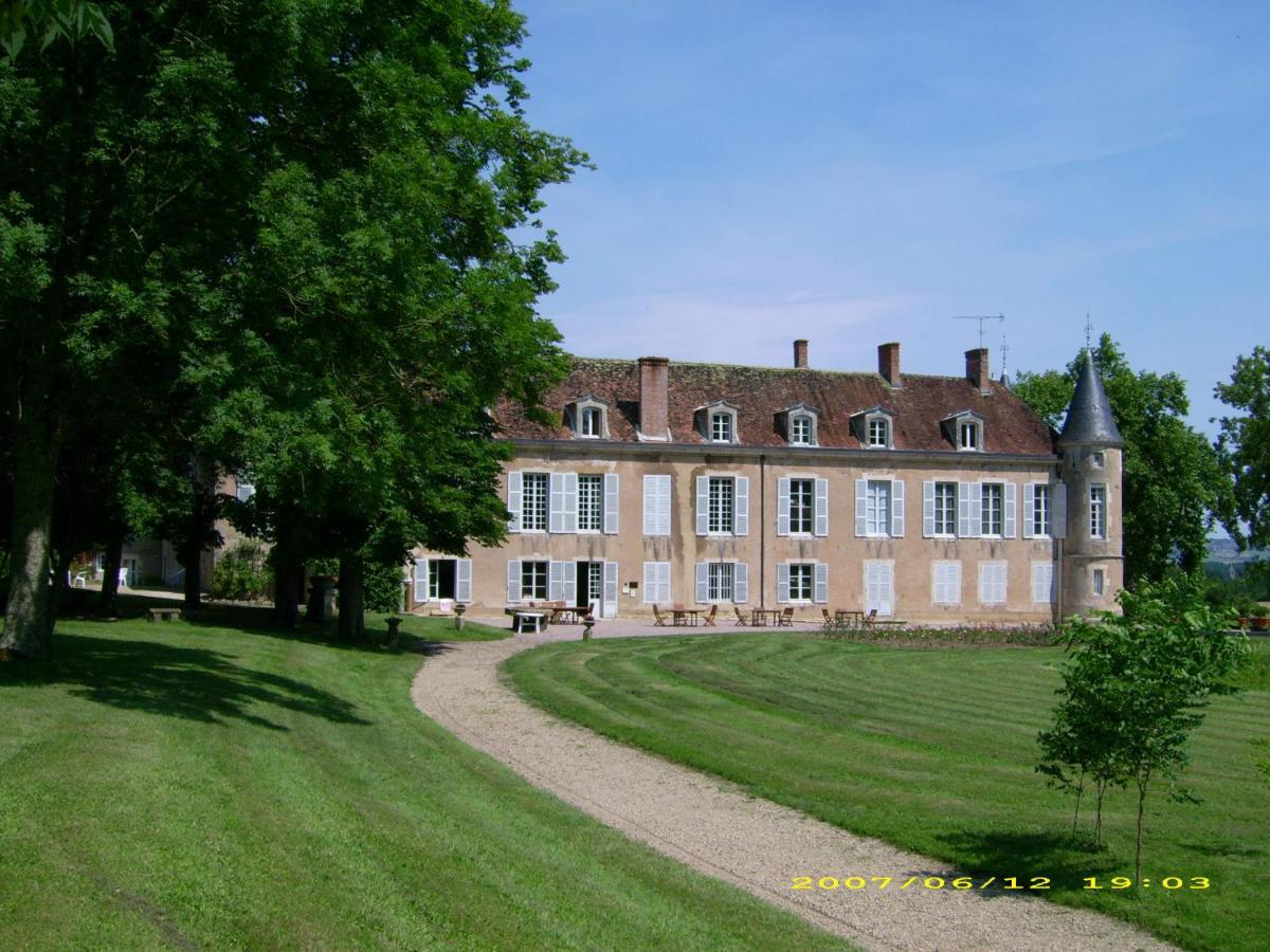 Chateau D'Island Vezelay Pontaubert Eksteriør bilde