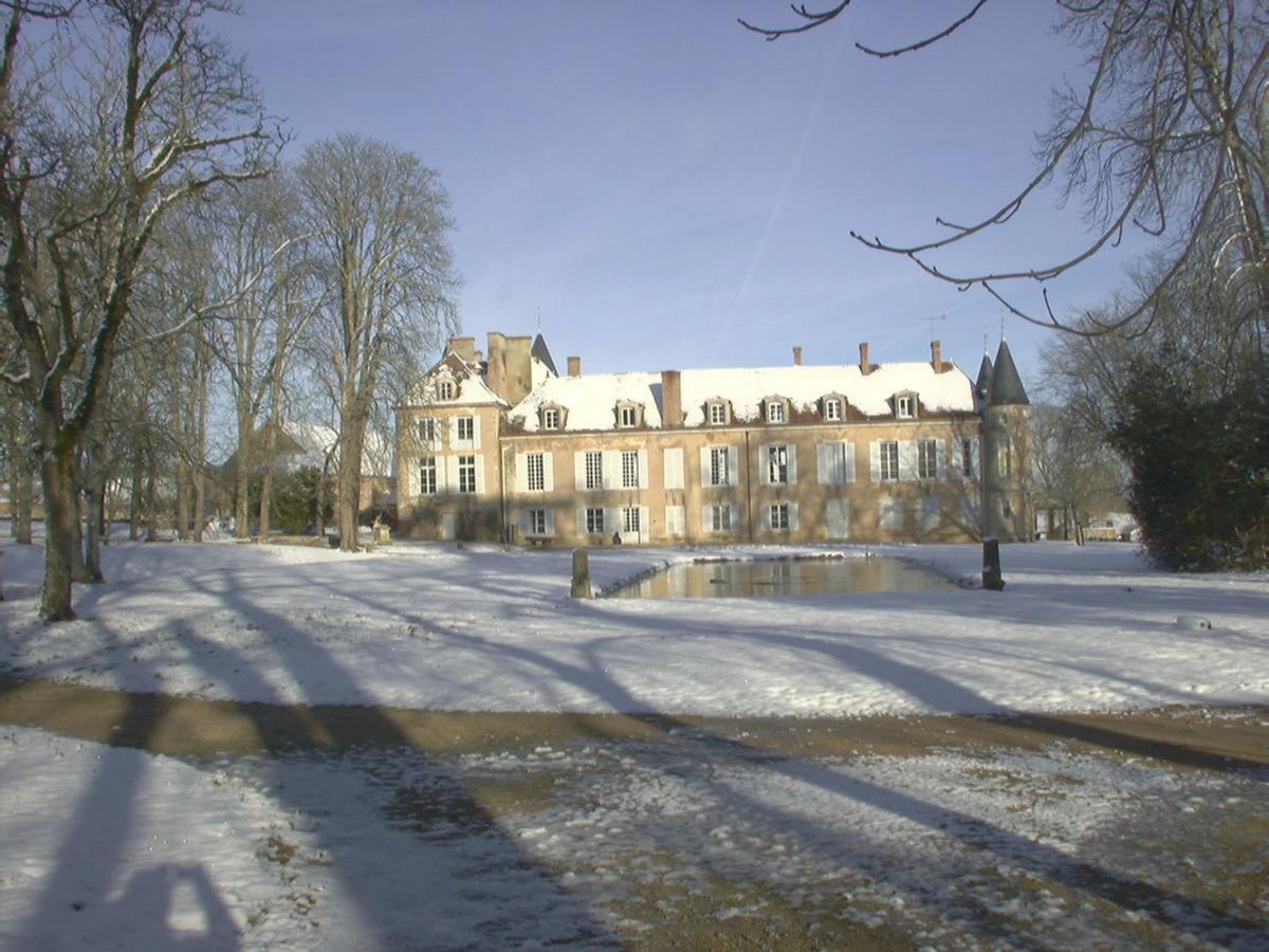 Chateau D'Island Vezelay Pontaubert Eksteriør bilde