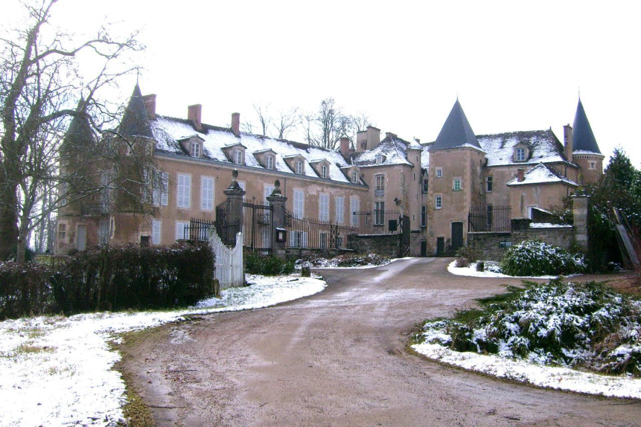 Chateau D'Island Vezelay Pontaubert Eksteriør bilde
