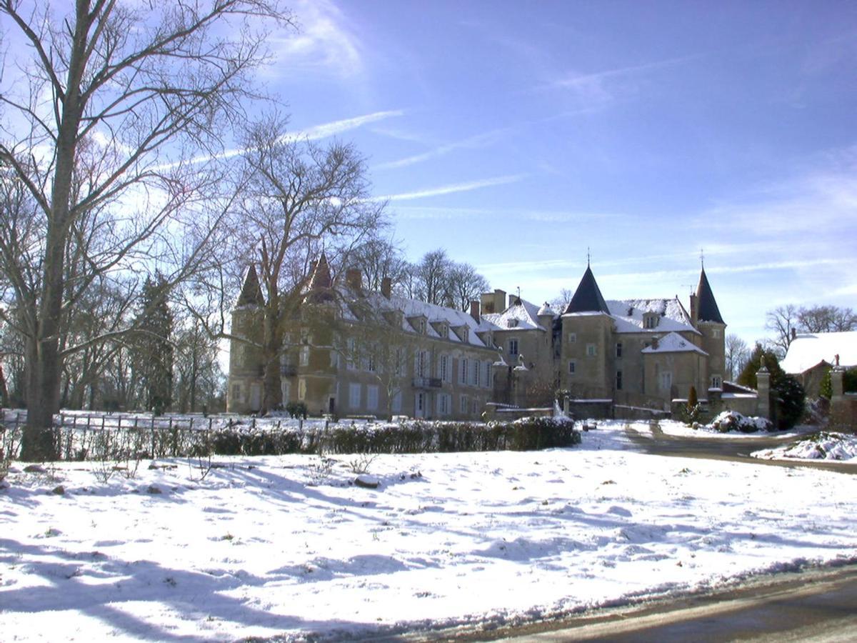 Chateau D'Island Vezelay Pontaubert Eksteriør bilde
