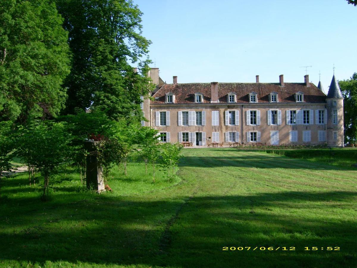 Chateau D'Island Vezelay Pontaubert Eksteriør bilde